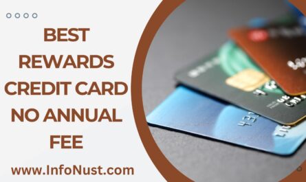 Best Rewards Credit Card No Annual Fee